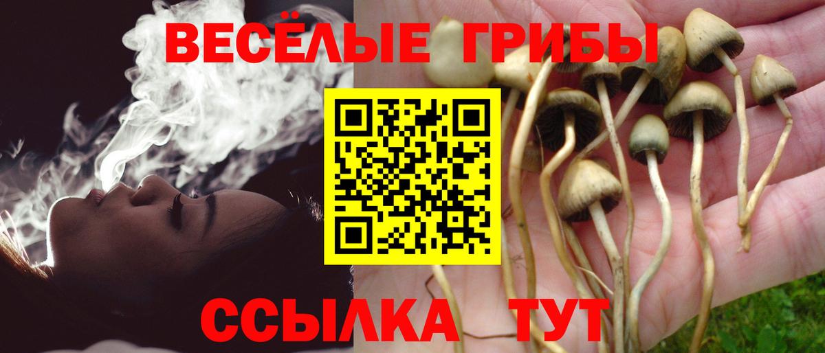 Псилоцибиновые грибы прущие грибы Татарск