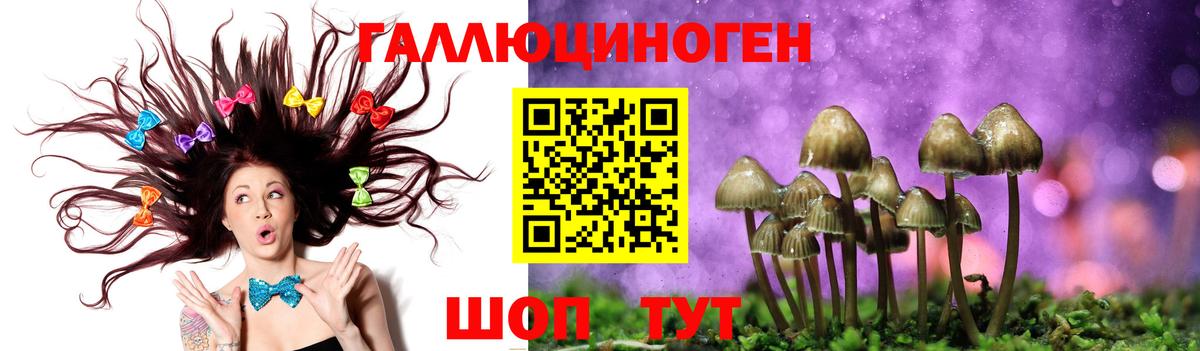 Псилоцибиновые грибы Psilocybe  Вход с VPN  продажа наркотиков  Татарск 